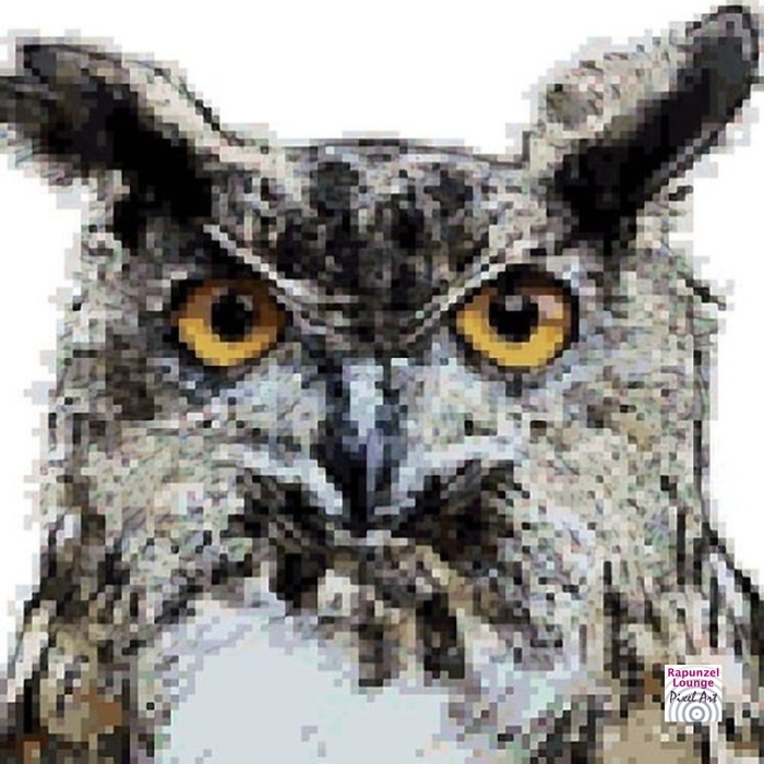 Eule_Farbbloecke_Pixel_Art.jpg