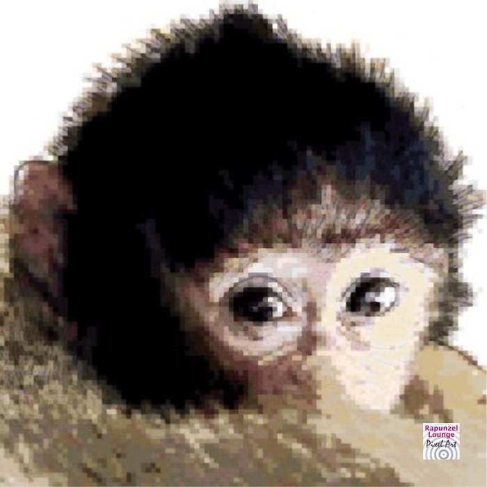 Affe_Schimpanse_Pixel_Art.jpg