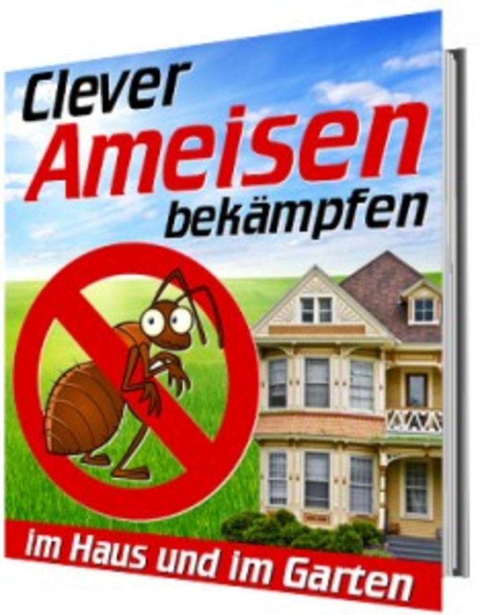 clever_Ameisen.jpg
