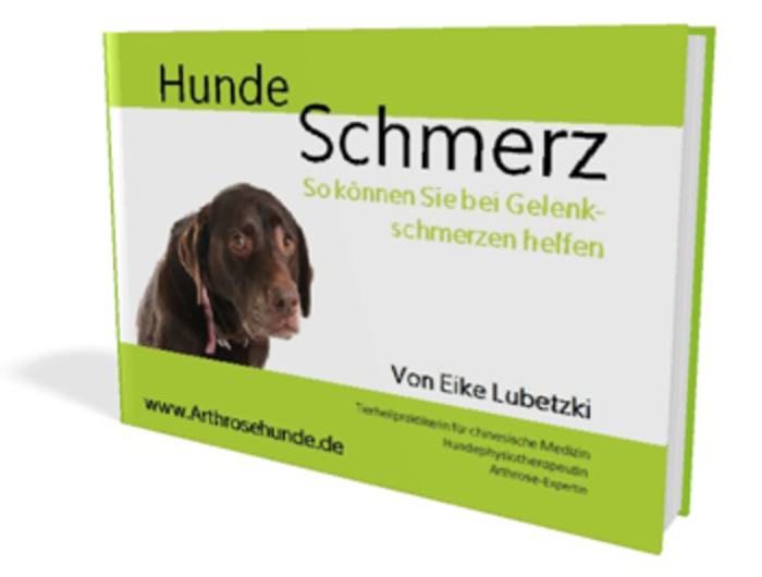 eBook_HundeSchmerz_350x265.png