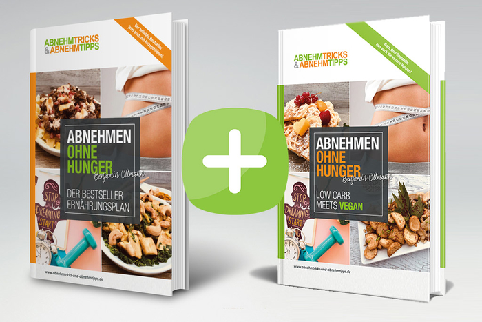 der ernährungsplan abnehmen ohne hunger pdf