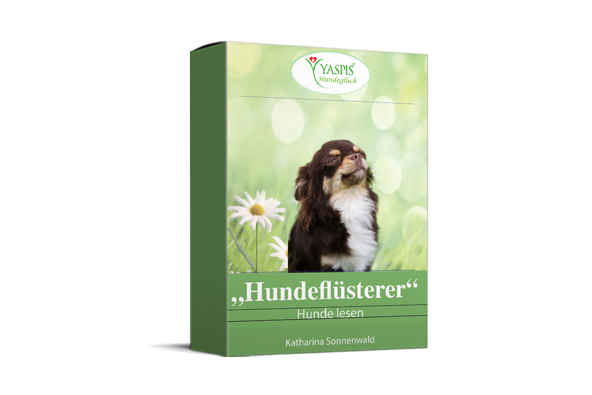 Hundeflüsterer "Hunde lesen" yaspishundeglueck elopage