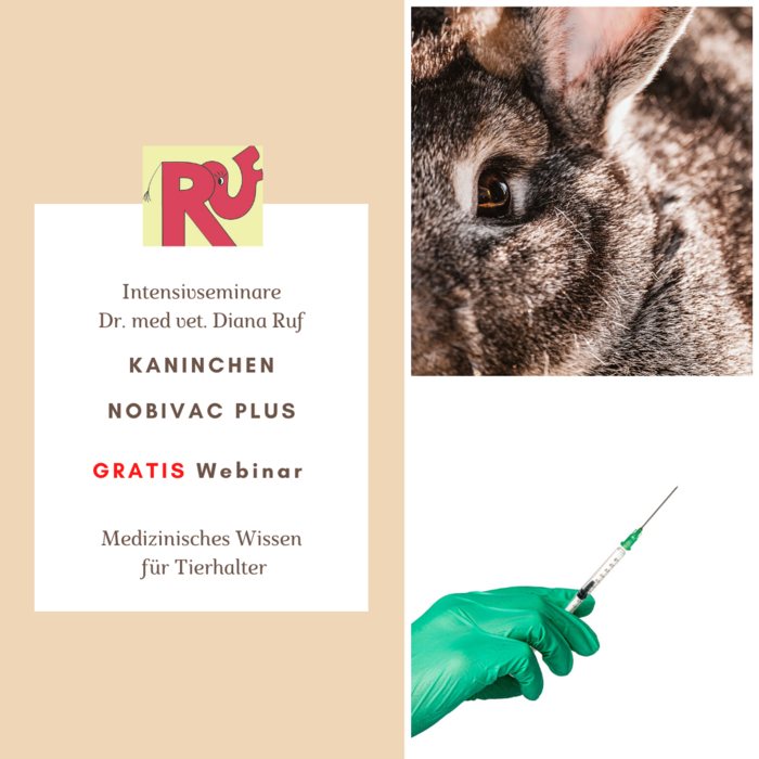 Plus Gutscheincode 2020 Plus Gutscheincode 2020