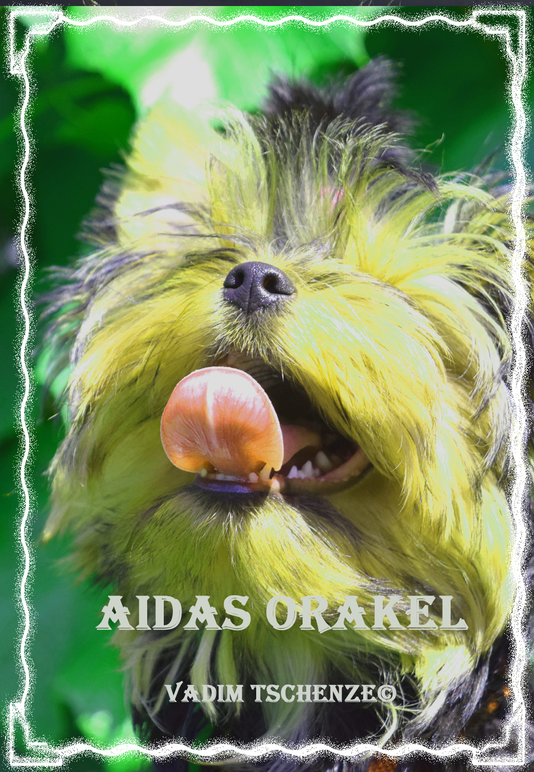 Das Neue Krafttier Orakel Aida Orakel 60 Karten 9x13 Cm Pdf Und Jpgs Www Vadimtschenze De Elopage