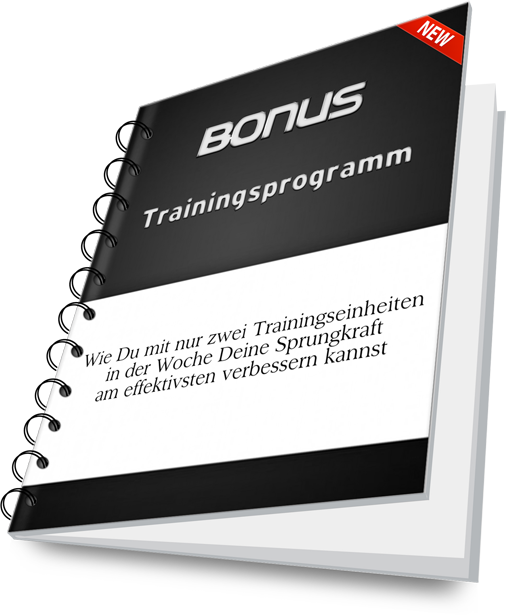 Trainingsprogramm