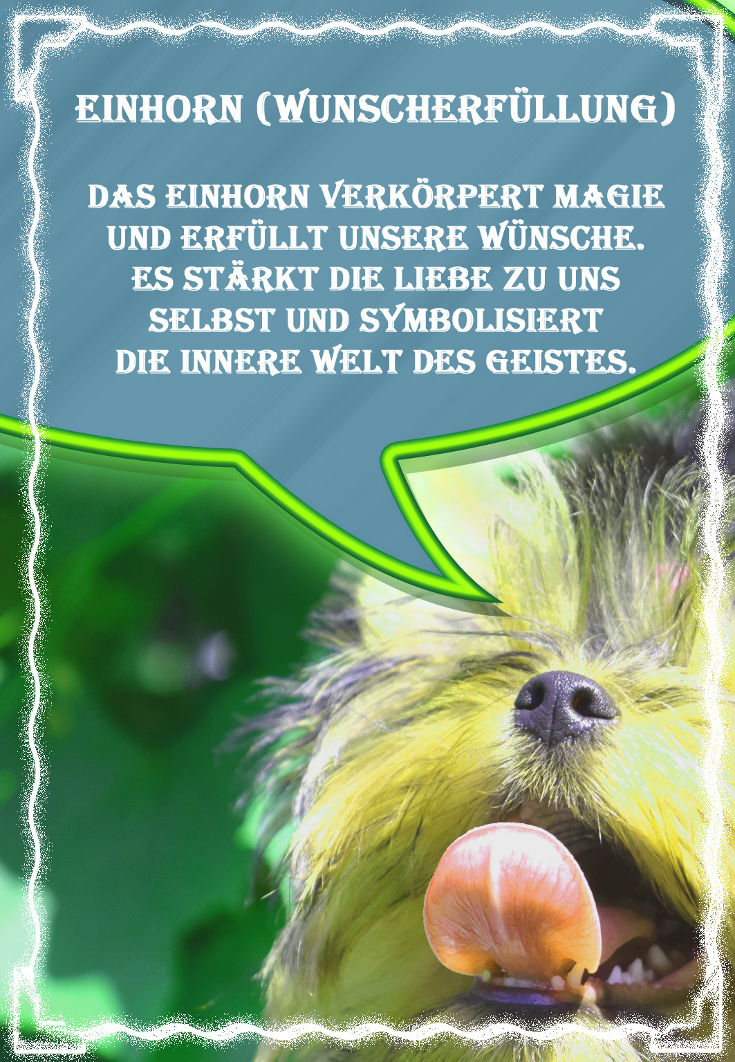 Das Neue Krafttier Orakel Aida Orakel 60 Karten 9x13 Cm Pdf Und Jpgs Www Vadimtschenze De Elopage