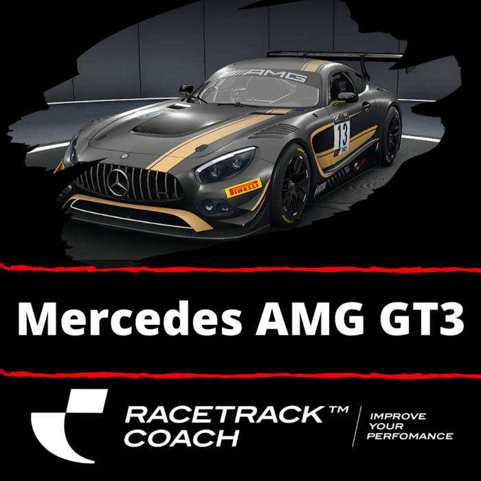 Acc Setup Bundle Mercedes Benz Amg Gt3 Racetrackcoach Elopage