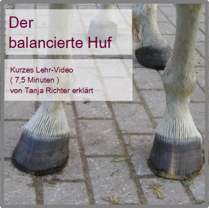 Wie Sieht Ein Gesunder Huf Beim Pferd Aus DAS GESUNDE PFERD - Der balancierte Huf - IPP-INSTITUT-PFERDEPHYSIO